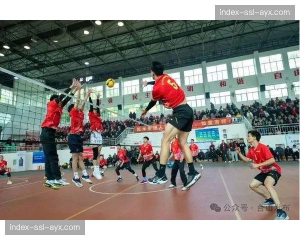 水步镇春节男子九人排球赛圆满落幕，锦鸿1队勇夺冠军上莲队亚军